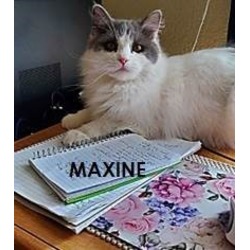Photo of MAXINE