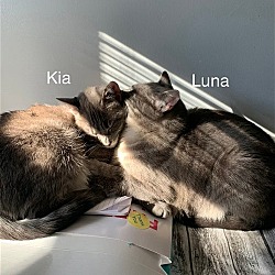 Photo of Kia and Luna