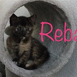 Thumbnail photo of 'Reba' #3