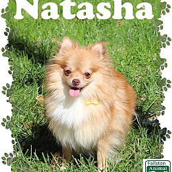 Thumbnail photo of Natasha #1