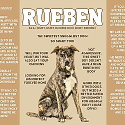Photo of Rueben