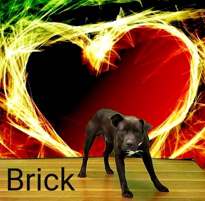 Photo of Brick