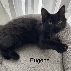 Thumbnail photo of Eugene #1