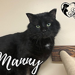 Photo of Manny 21-51