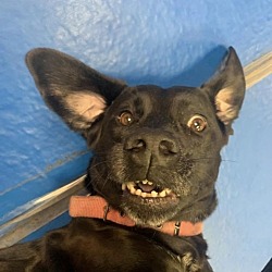 Photo of Maggie