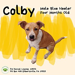 Photo of Colby