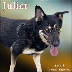 Photo of Juilet