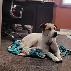 Photo of Athena