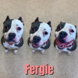 Photo of FERGIE