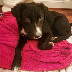 Photo of Bess