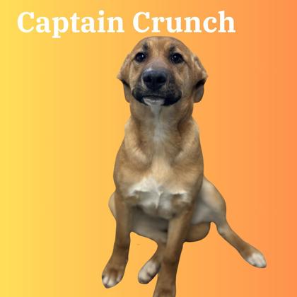 Photo of Captn Crunch