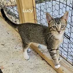 Thumbnail photo of Lucy #2