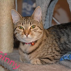 Thumbnail photo of Ginny #3