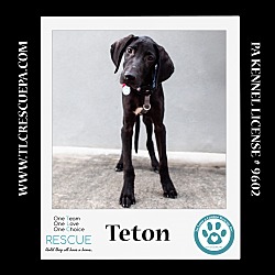 Photo of Teton (Alpine Trio) 072024