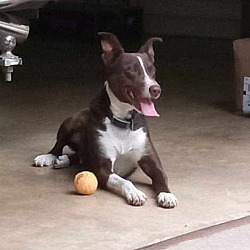 Photo of Zoomer