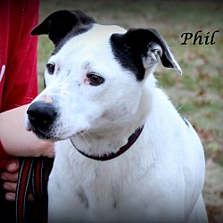Thumbnail photo of Phil ~ meet me! #1