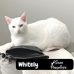 Photo of Whitely