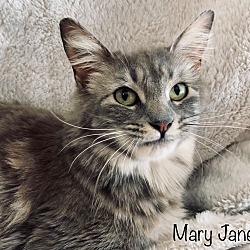 Photo of Mary Jane/Pearl