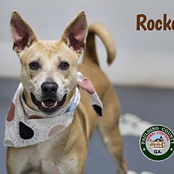 Thumbnail photo of 24-06-2044 Rocko #1