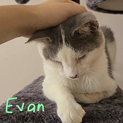 Photo of Evan: Sweet, Loving, Friendly Young Guy!