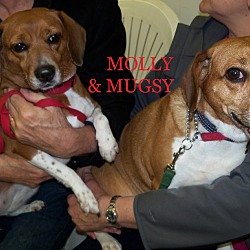 Thumbnail photo of MOLLY & MUGSY #1