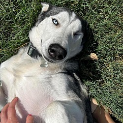 Photo of Odin PS