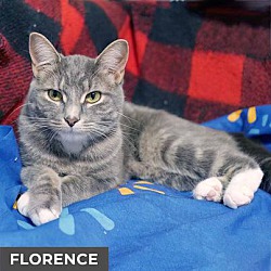 Thumbnail photo of Florence #2
