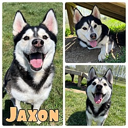 Photo of Jaxon