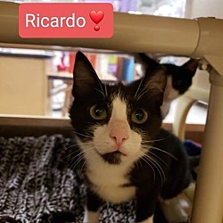 Photo of Ricardo