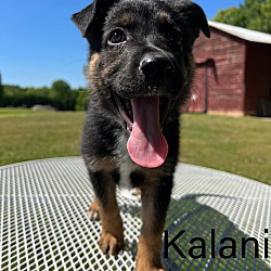 Photo of Kalani