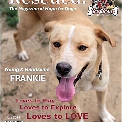 Thumbnail photo of Frankie #1