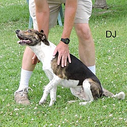 Thumbnail photo of DJ #1