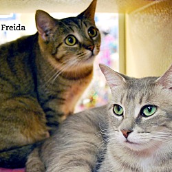 Thumbnail photo of Freida & Franny #1