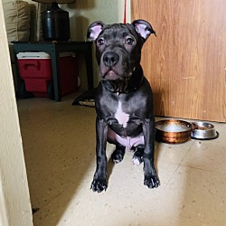 Photo of Princess 