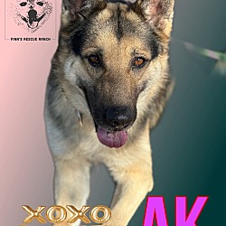 Thumbnail photo of AK #2