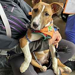 Photo of Jackpot
