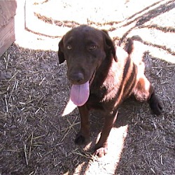 Photo of Duke
