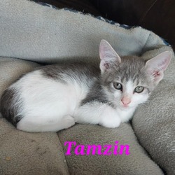Photo of Tamzin