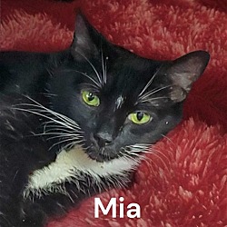 Thumbnail photo of Mia #1