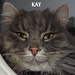 Thumbnail photo of KAY--GORGEOUS! FEE WAIVED #1