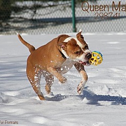 Thumbnail photo of Queen Marie #2