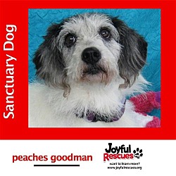Thumbnail photo of Peaches Goodman #1
