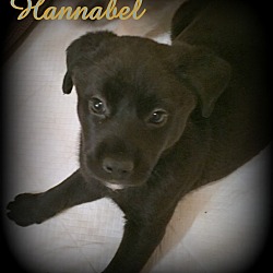 Thumbnail photo of Hannabel #2
