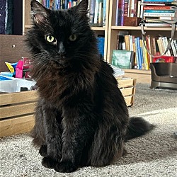 Photo of Tabitha
