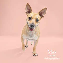 Thumbnail photo of Max #3