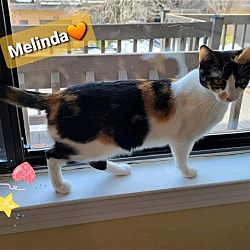 Photo of Melinda