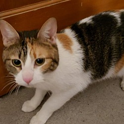 Thumbnail photo of Ruby #1