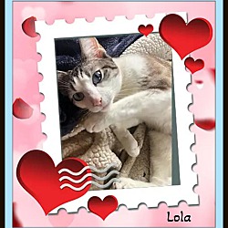 Thumbnail photo of Lola - Loves Kids #2
