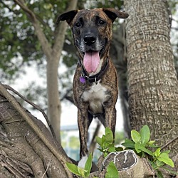 Thumbnail photo of Zane #4