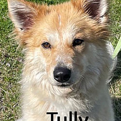 Photo of Tully